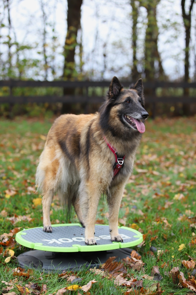 Balans en Coördinatie