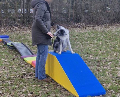 balans-coordinatie03