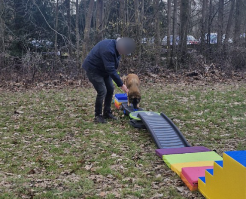 balans-coordinatie04