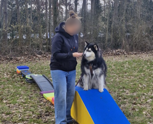 balans-coordinatie07