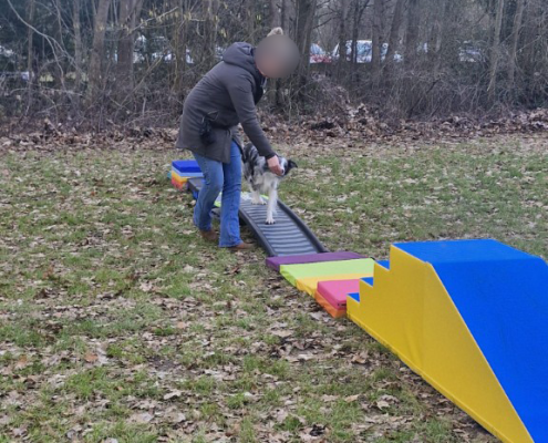 balans-coordinatie08