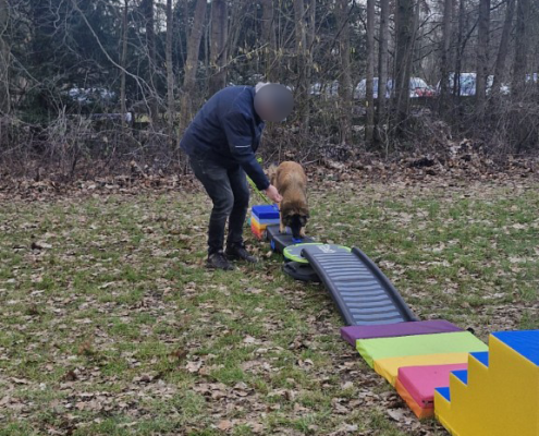 balans-coordinatie09