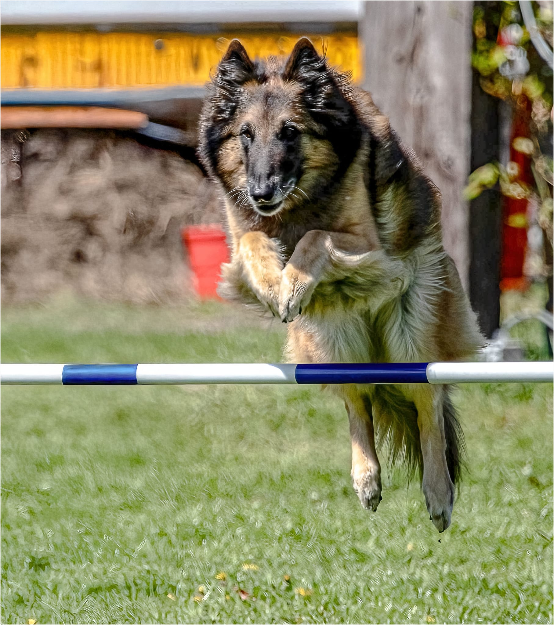 agility01