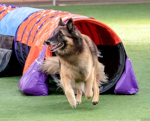 agility03